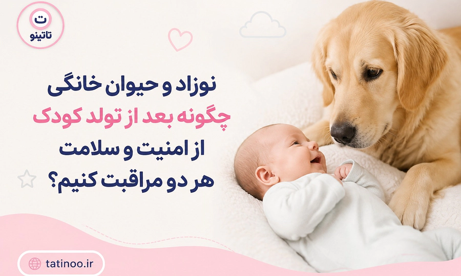 نوزاد و حیوان خانگی چگونه بعد از تولد کودک از امنیت و سلامت هر دو مراقبت کنیم؟