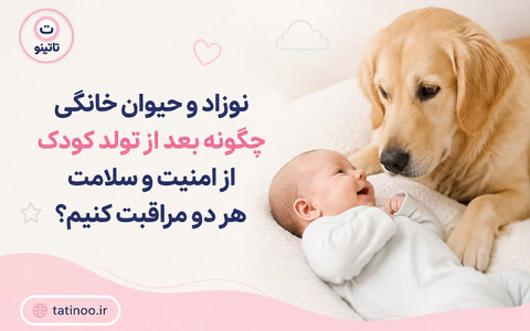 نوزاد و حیوان خانگی چگونه بعد از تولد کودک از امنیت و سلامت هر دو مراق...